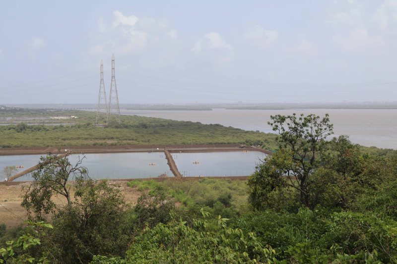 vasai creek